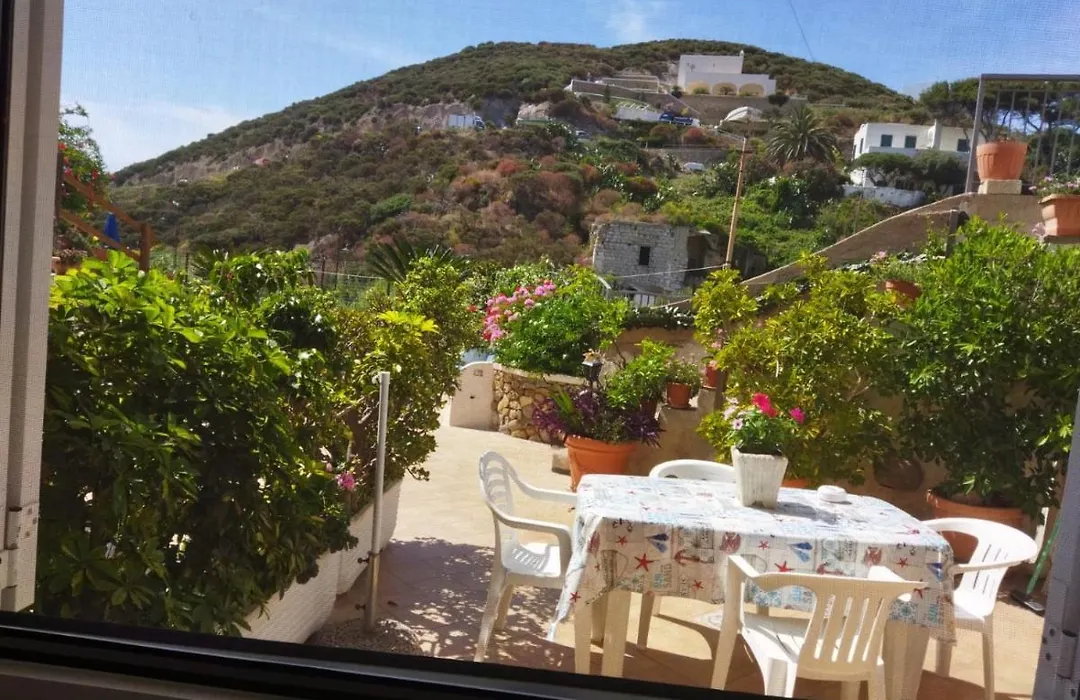 Casa Carina-1