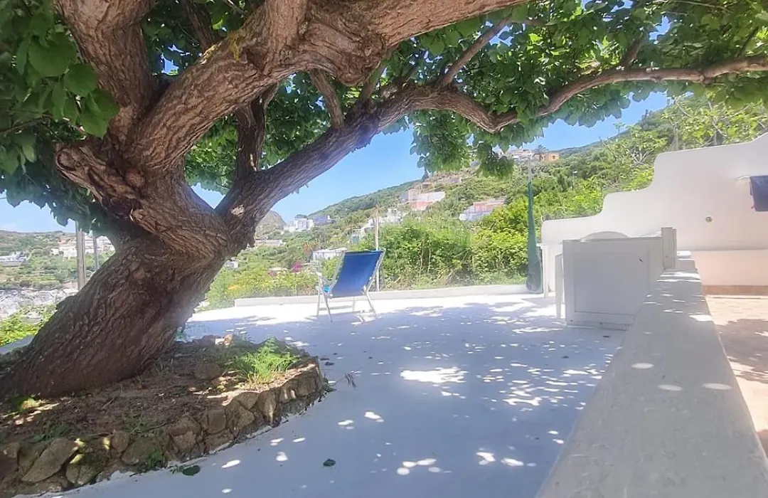 Le Case dei Pescatori - Albicocco-1
