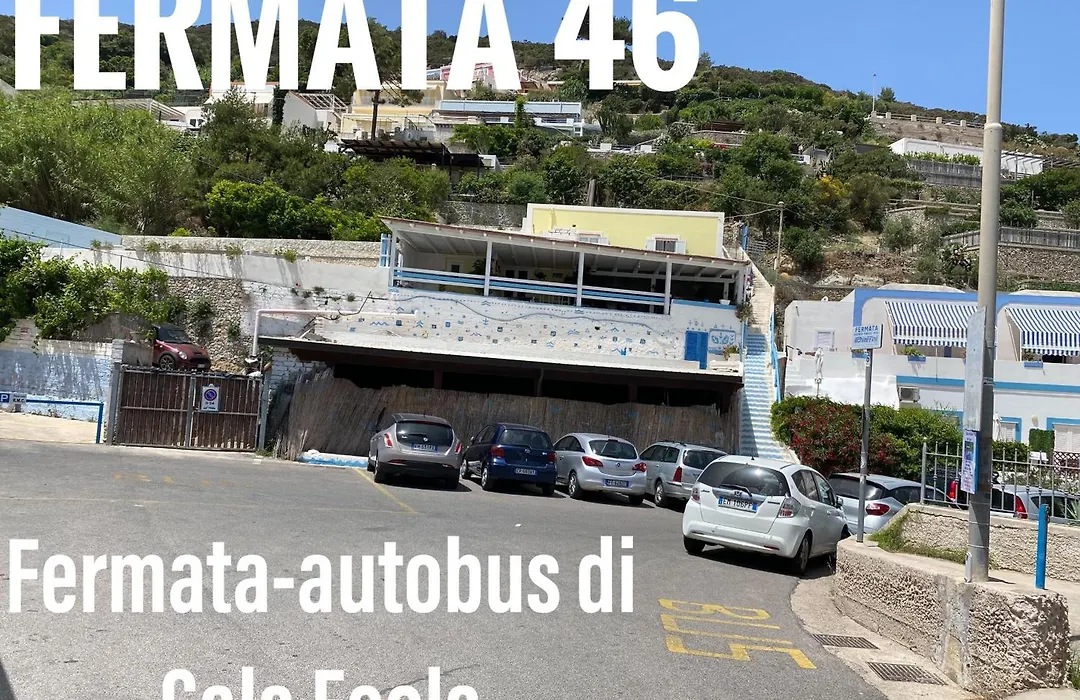 Ponzacasevacanze Appartamento alla spiaggia di Cala Feola-1