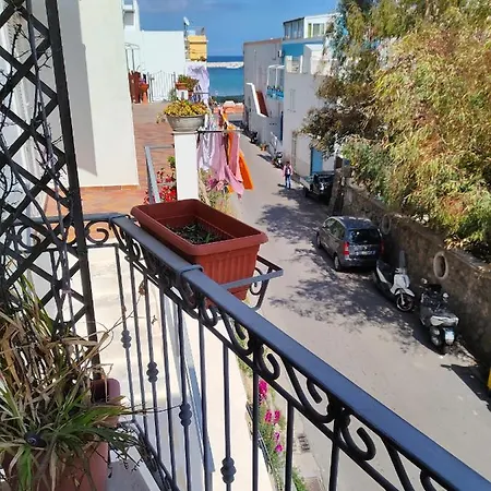 Visitponza - Vesta-3