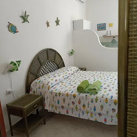 Monolocale Verde Con Balcone Conchiglie Fiori A Le Forna-2