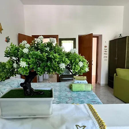 Monolocale Verde Con Balcone Conchiglie Fiori A Le Forna-3