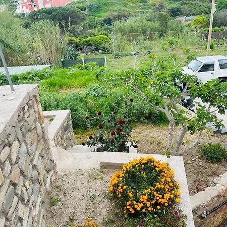 Casa Angelina-2