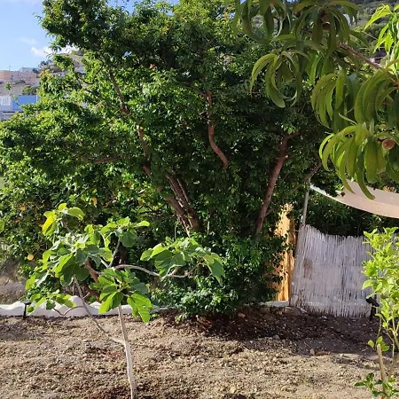 La Casa Rosa-2
